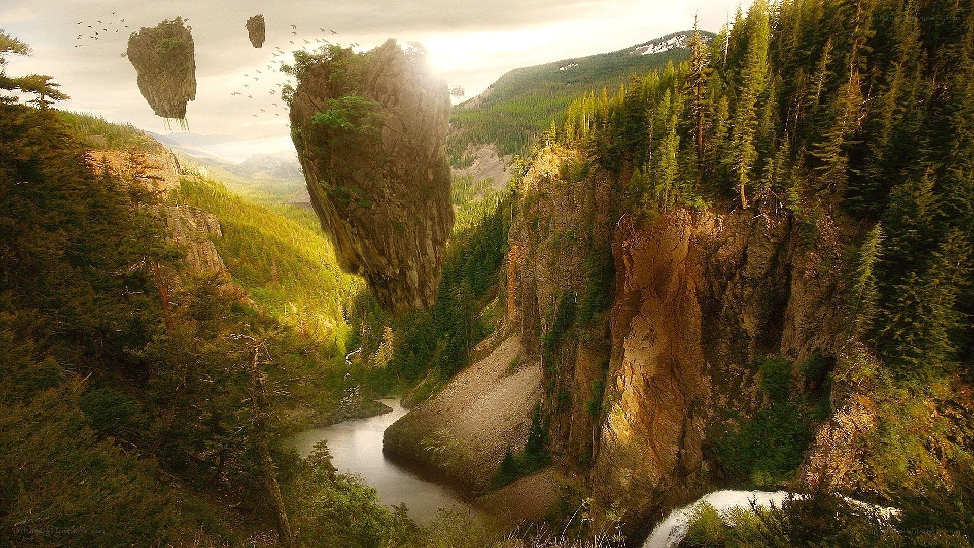 floating rocks in forest canyon