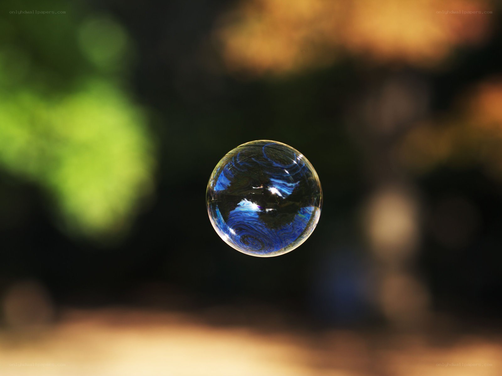 Floating soap bubble in nature