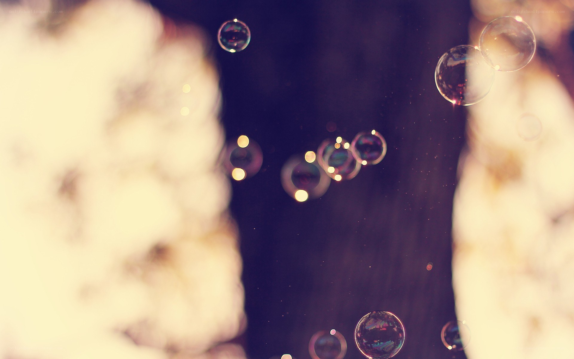 floating soap bubbles at dusk