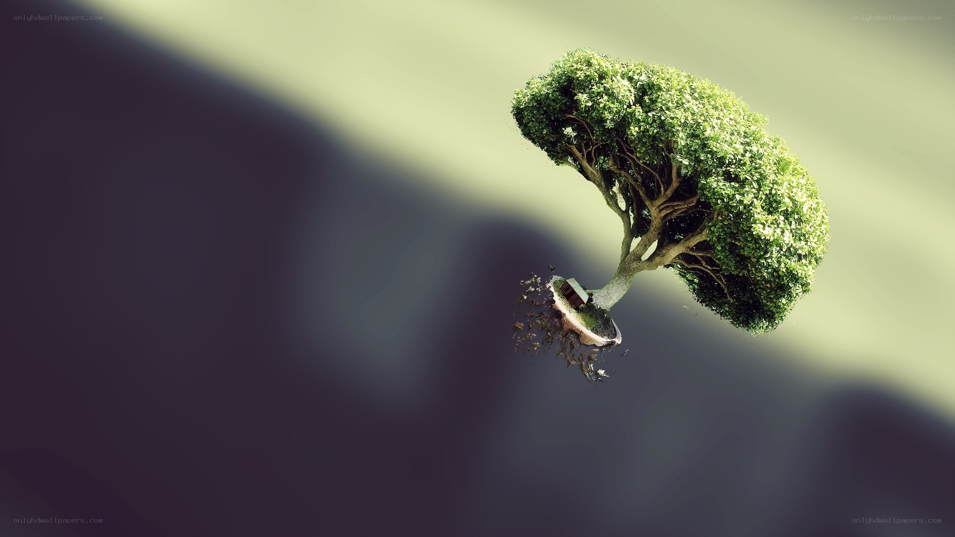 floating tree island