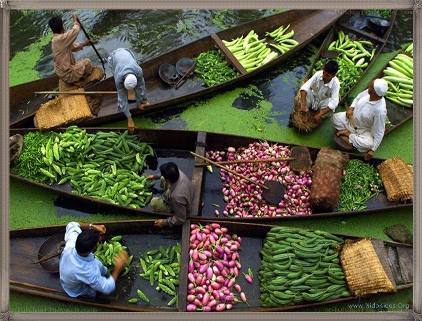 Floating vegetable market
