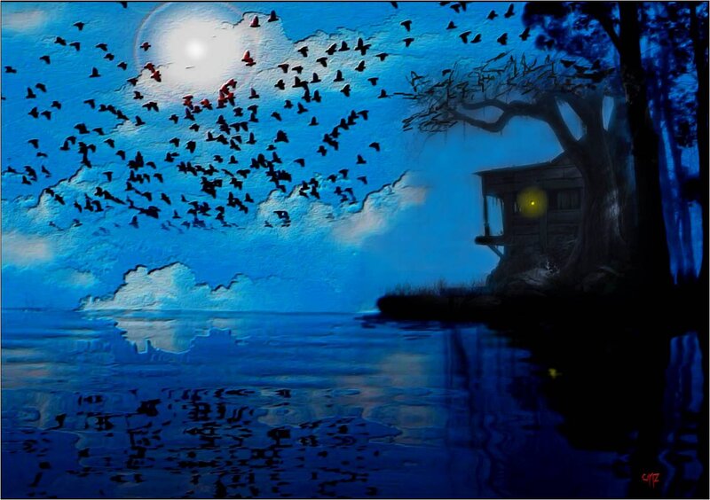 Flock of Birds at Night