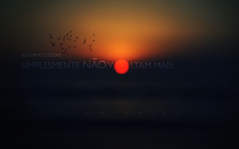 Flock of Birds at Sunset — Orange, Serene, Photograph, Sun, Sky