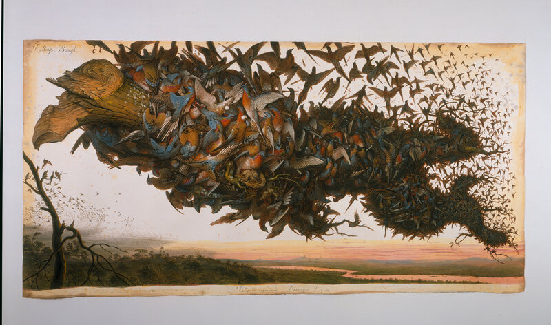 Flock of Birds Falling