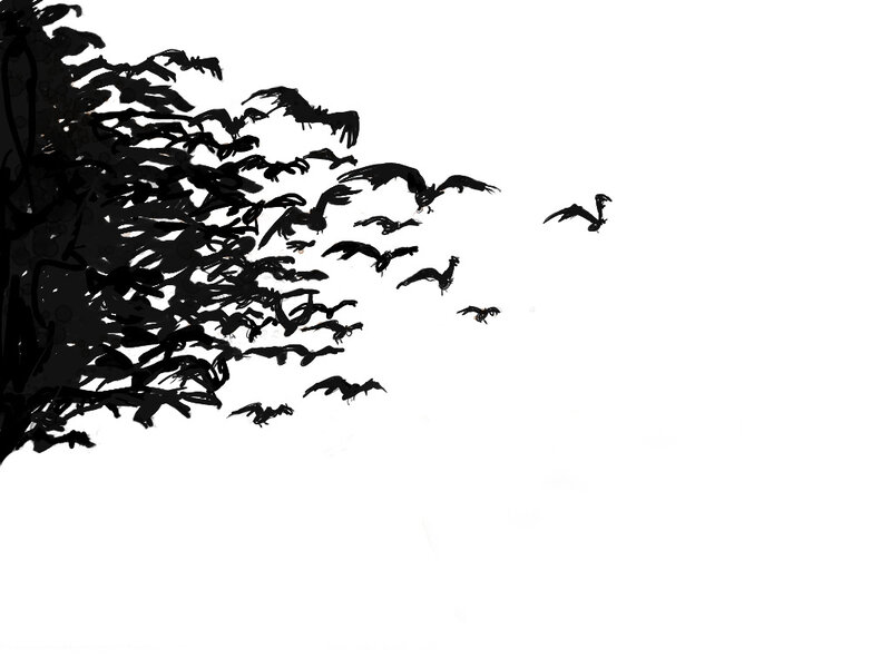 flock of birds flying