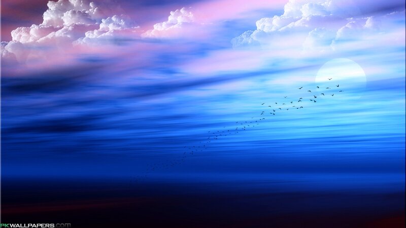Flock of Birds Flying — Blue, Serene