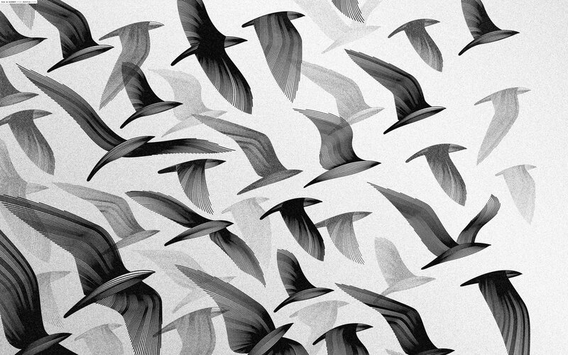 Flock of Birds in Flight — Black, Dynamic