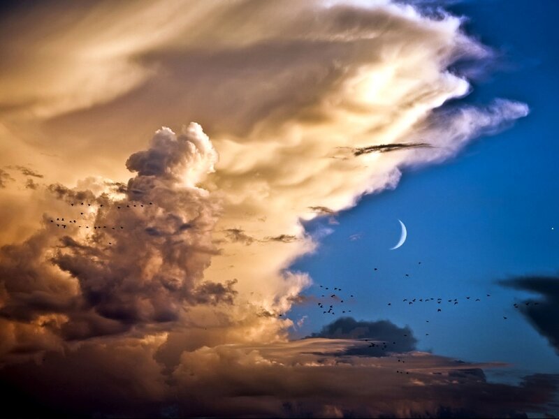 Flock of Birds in Sky — Blue
