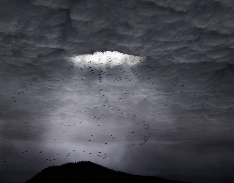 Flock of Birds in Sky — Gray