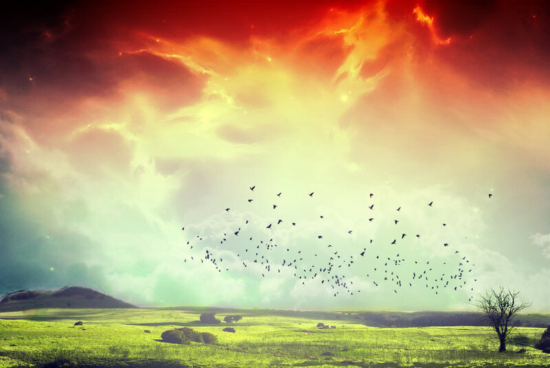 Flock of Birds in Sky — Green