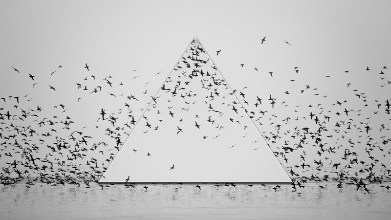 Flock of Birds in Triangle