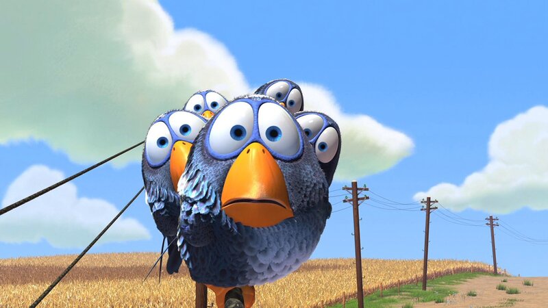 flock of birds on a wire