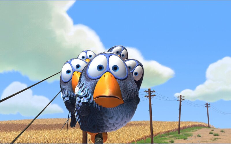 flock of birds on a wire