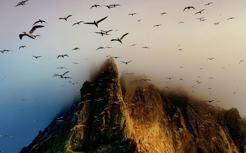 Flock of birds over a mountain peak