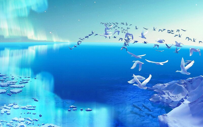 Flock of Birds over Ice