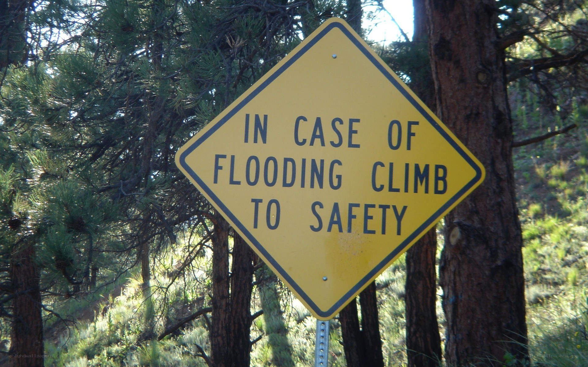 flood safety warning sign