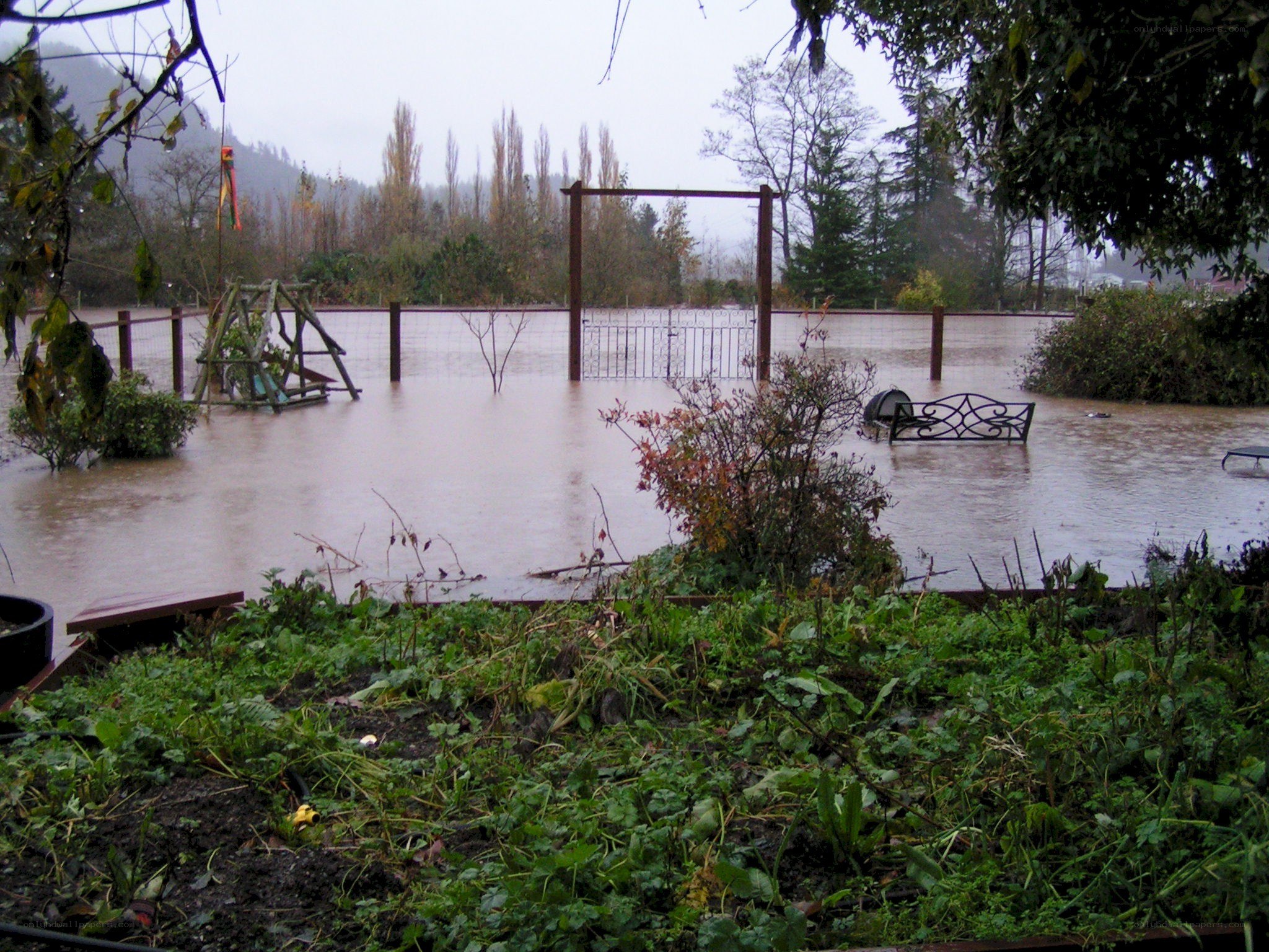 Flooded backyard with playground