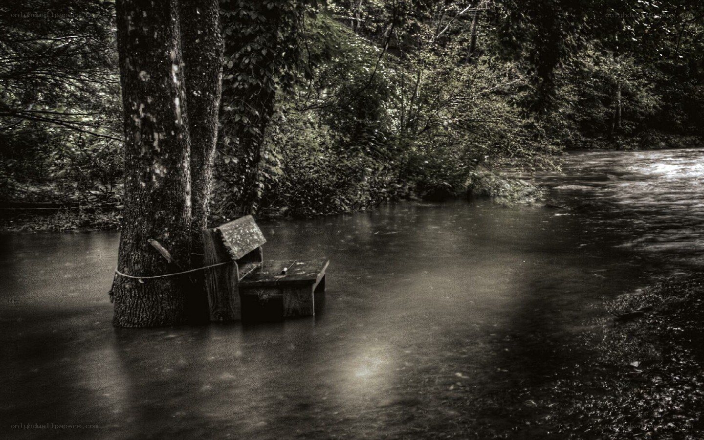 flooded bench by river