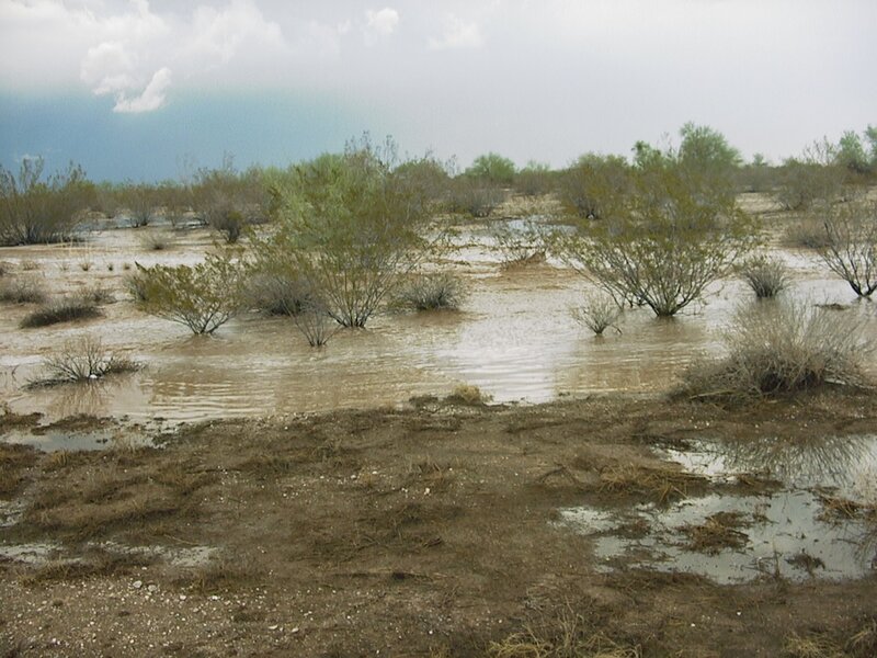 Flooded Desert Landscape