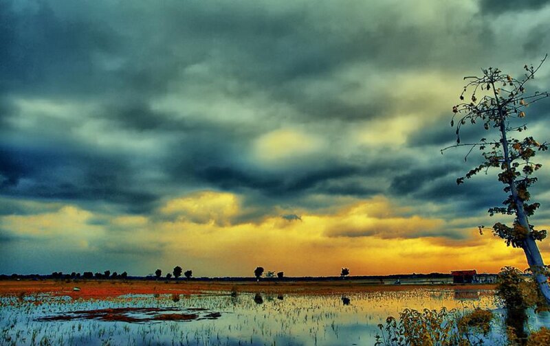 Flooded Field at Sunset
