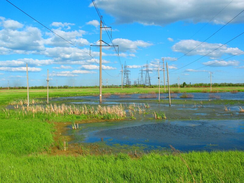 Flooded fields with power lines