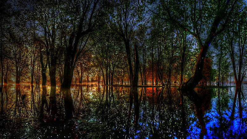 Flooded Forest at Dusk — Blue