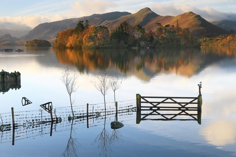 Flooded Gate and Fence