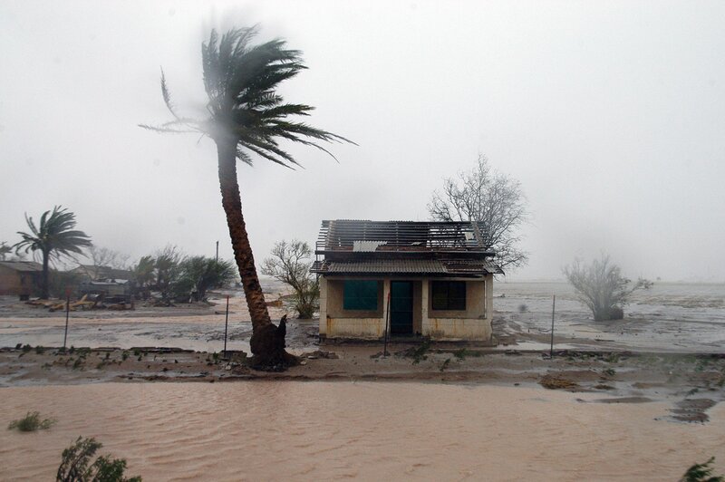 Flooded House and Palm Tree