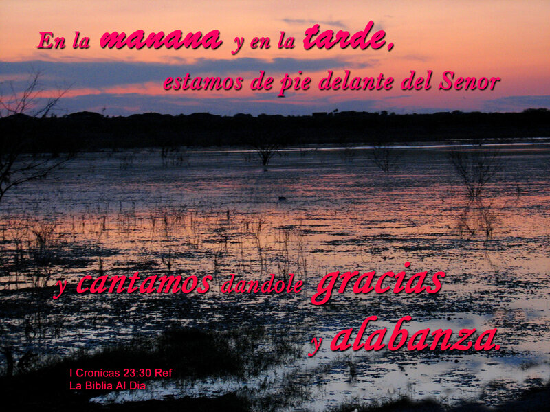 Flooded Landscape at Dusk — Pink, Serene