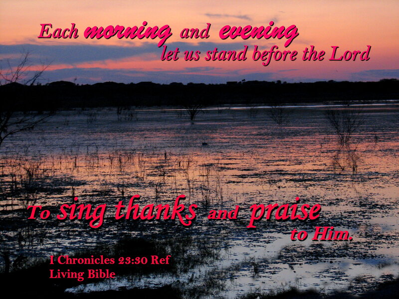 Flooded Landscape at Dusk — Pink
