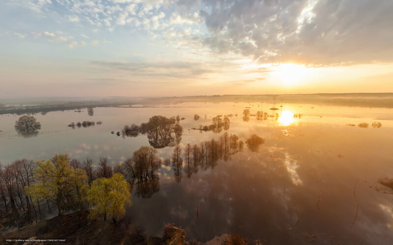 Flooded landscape at sunrise