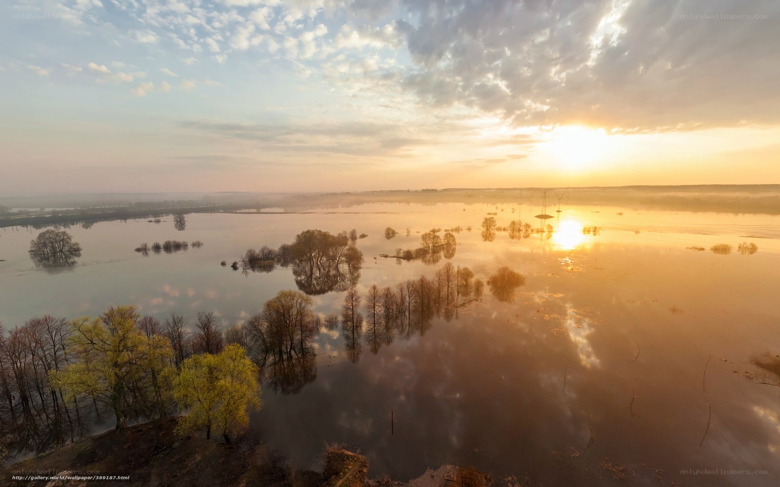 Flooded landscape at sunrise