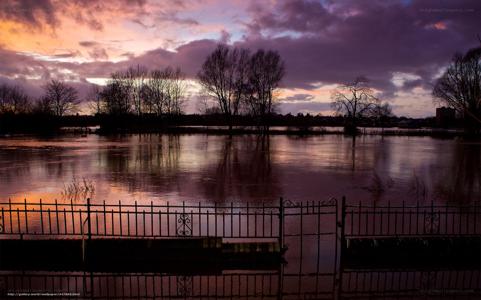 Flooded landscape at sunset