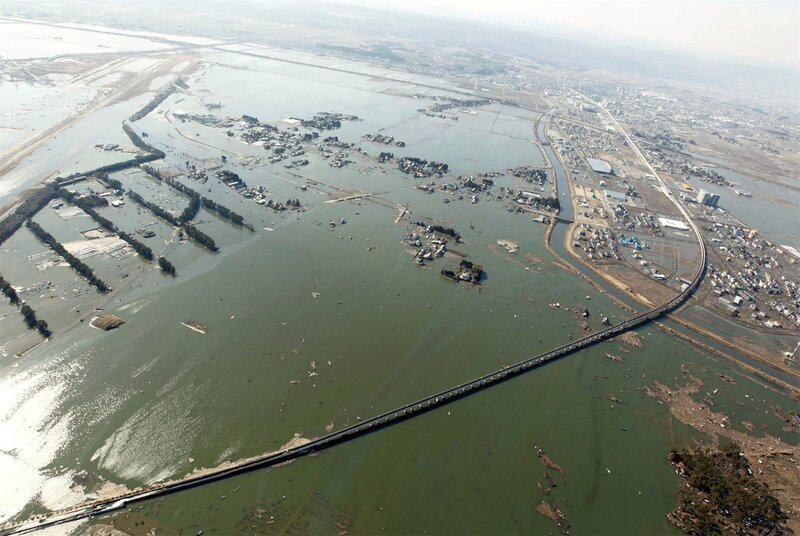 Flooded Landscape — Green