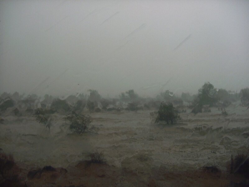 Flooded Landscape