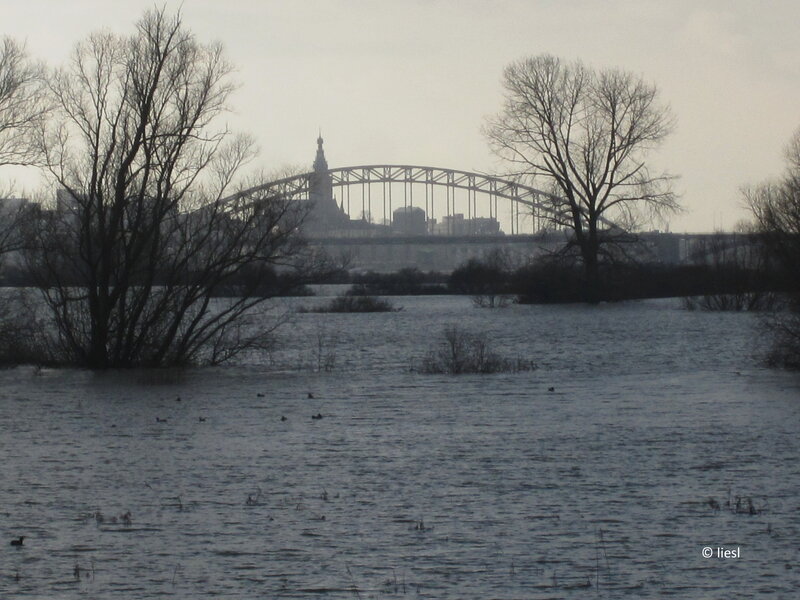Flooded Landscape with Bridge