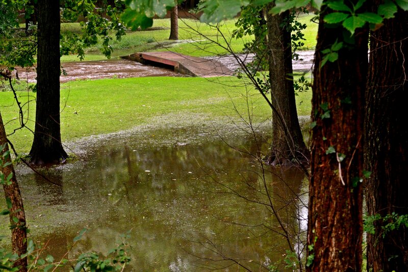 Flooded Park Area