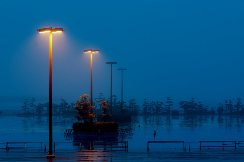 Flooded Park at Night