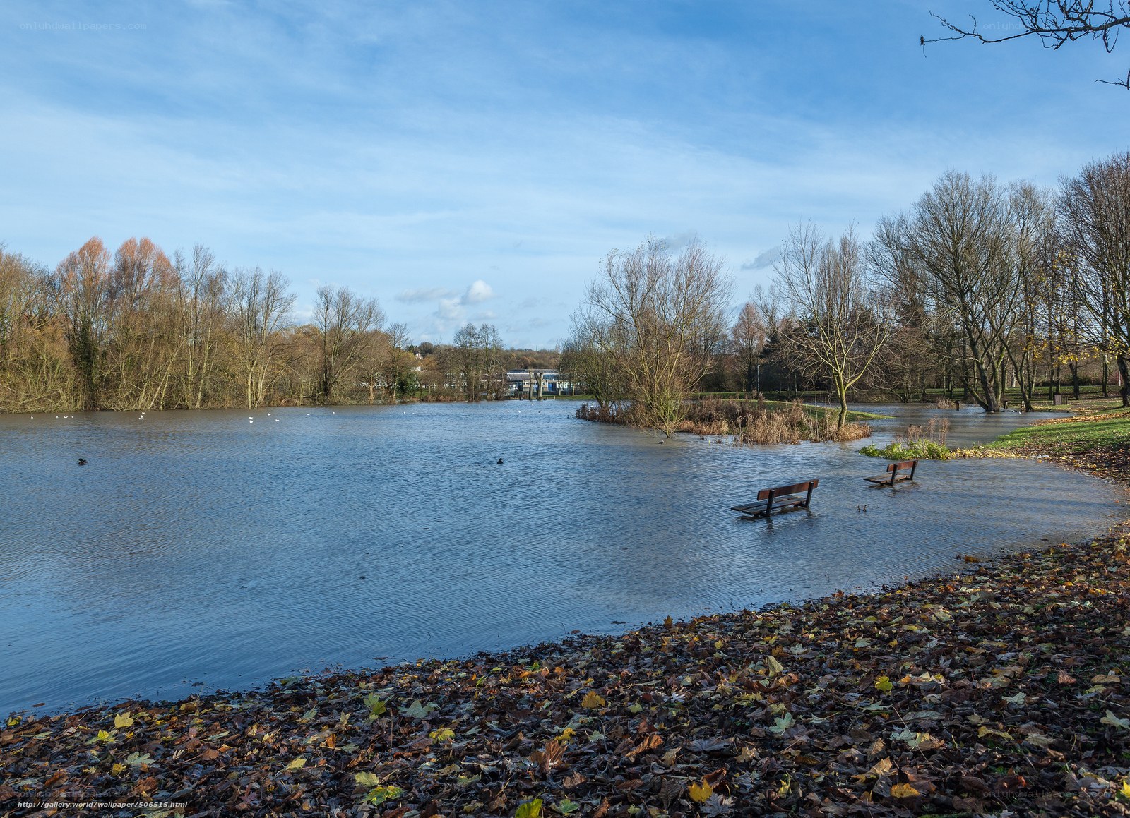 Flooded park with benches