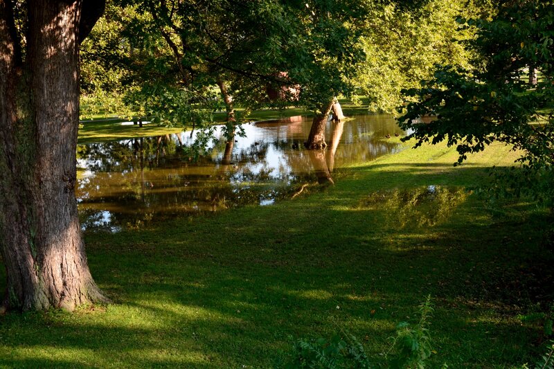 Flooded Park with Trees