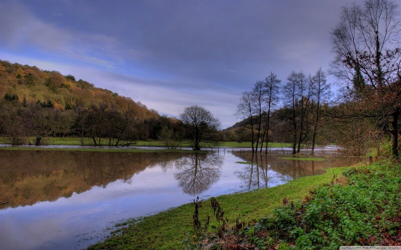 Flooded River Landscape — Blue, Serene