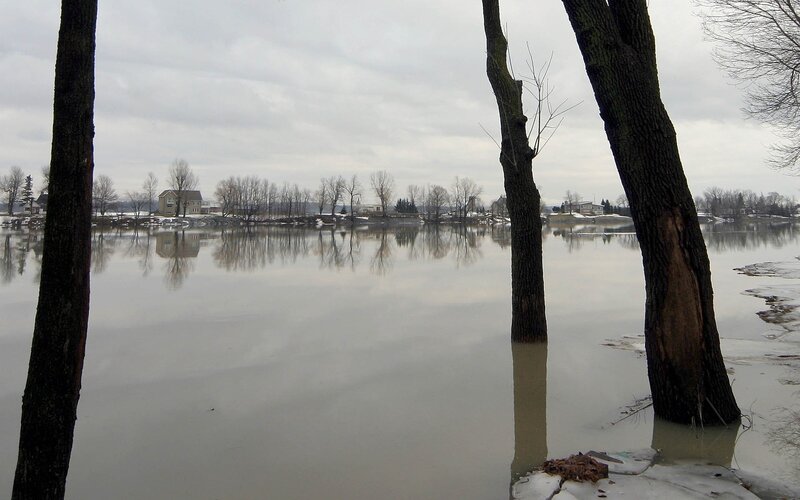 Flooded river with submerged trees