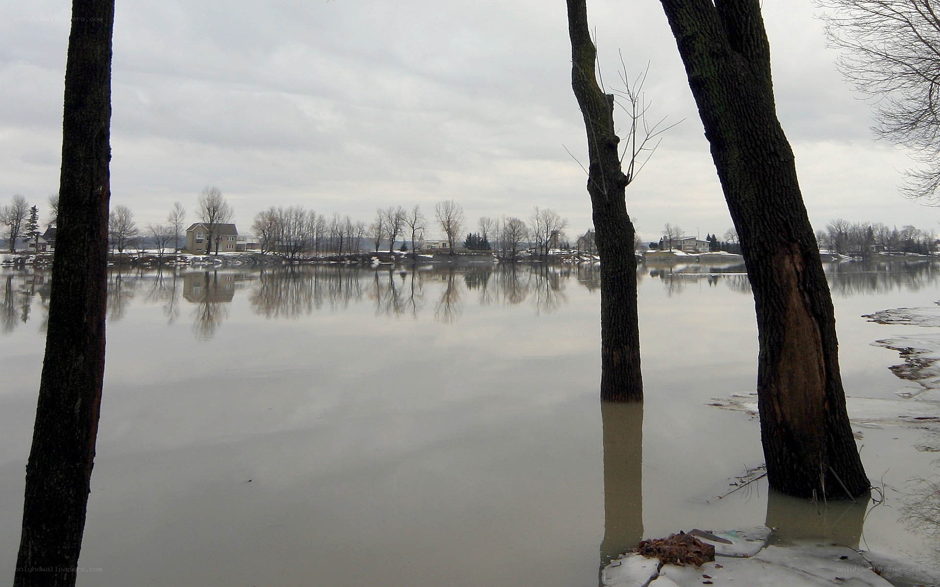 Flooded river with submerged trees
