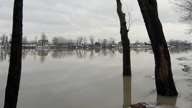 Flooded Riverbank — Gray