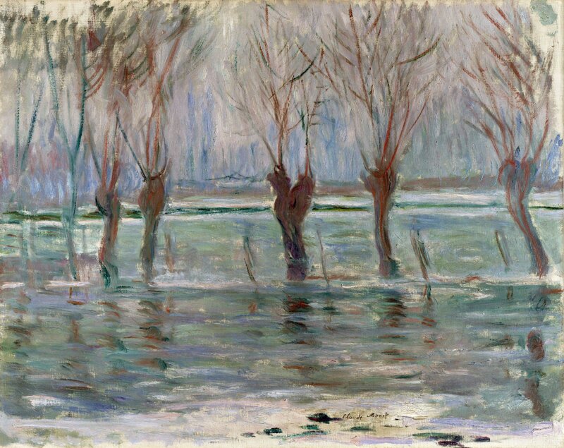 Flooded Trees in Winter