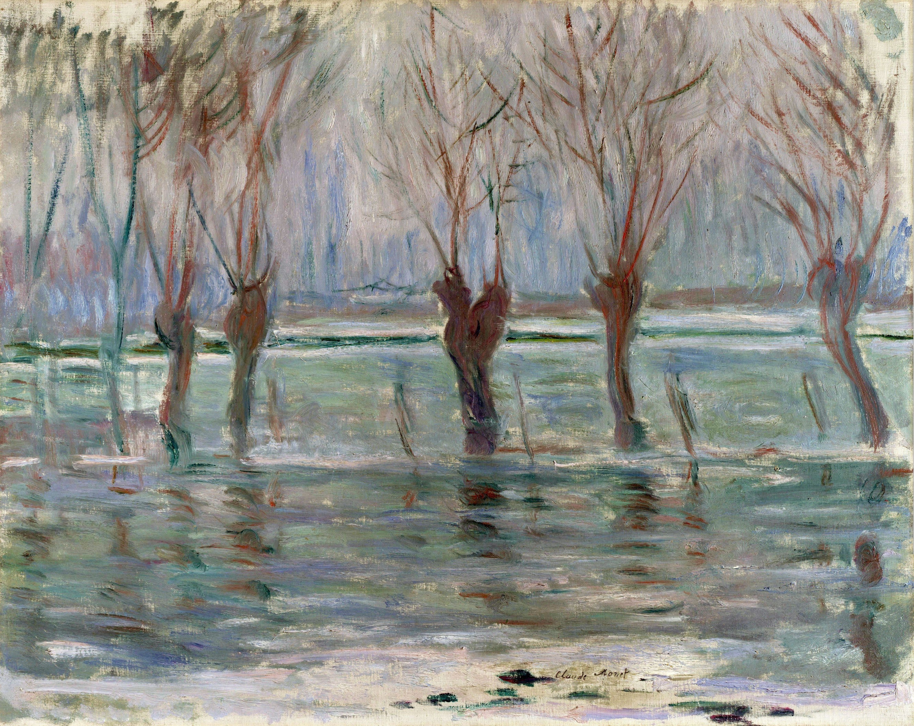 Flooded Trees in Winter