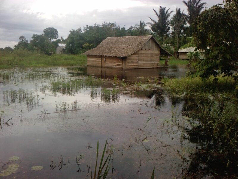Flooded Wooden Hut