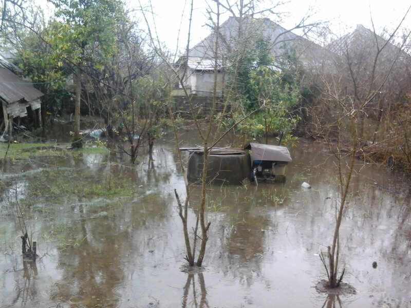 Flooded Yard with Debris