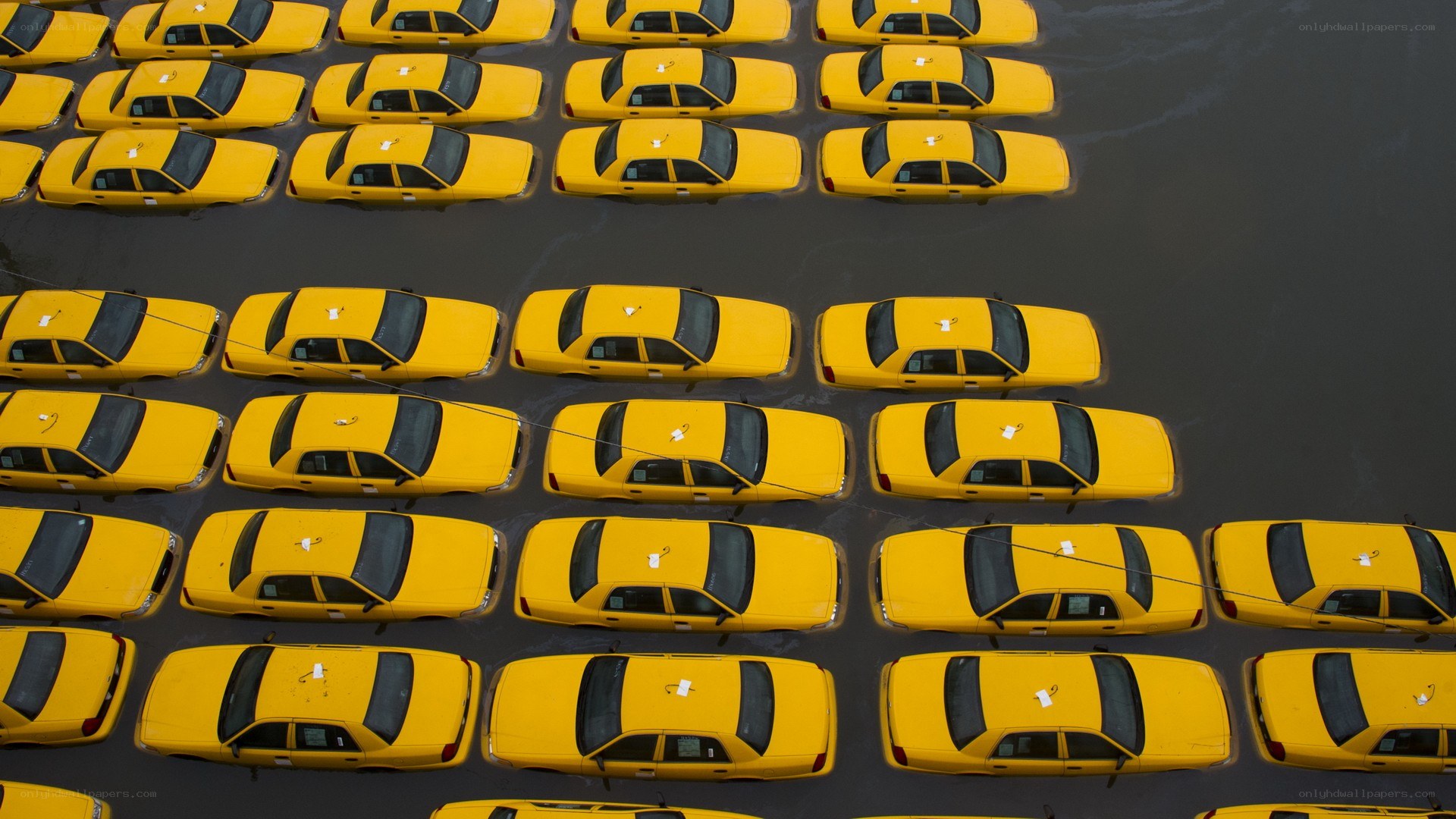 Flooded yellow taxis