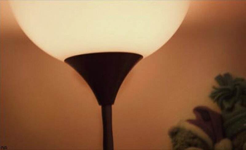 Floor Lamp with Globe Shade